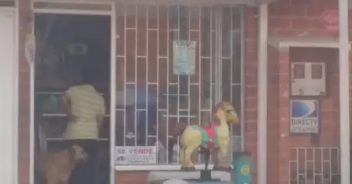 AVICOLA Y SALSAMENTARIA EL JARDIN BOGOTÁ AVICOLA Y SALSAMENTARIA EL JARDIN BOGOTÁ